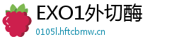 EXO1外切酶 EXO1外切酶